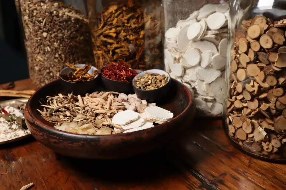 Why This Changes How We See “Primitive” Medicine (Image Credits: Pexels)