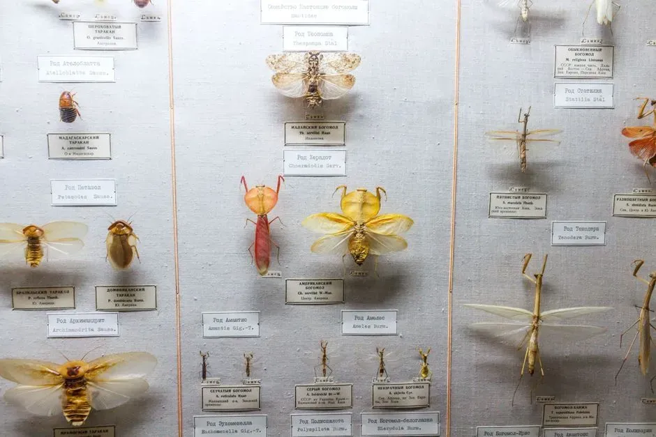 #10 My Take: Why I Trust Museums More When They Admit They Were Wrong (Image Credits: Pexels)
