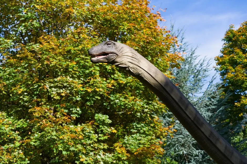 Conclusion: A Less Majestic Neck, A More Impressive Animal (Image Credits: Pexels)