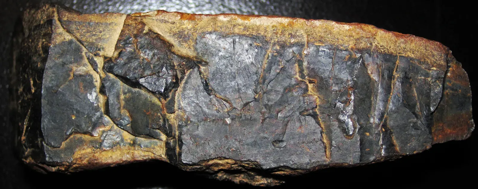 The Gunflint Iron Formation: A Landmark Discovery in Minnesota (Gunflint Chert (Paleoproterozoic, ~1.878 Ga; near Port Arthur, Ontario, Canada) 1, CC BY 2.0)