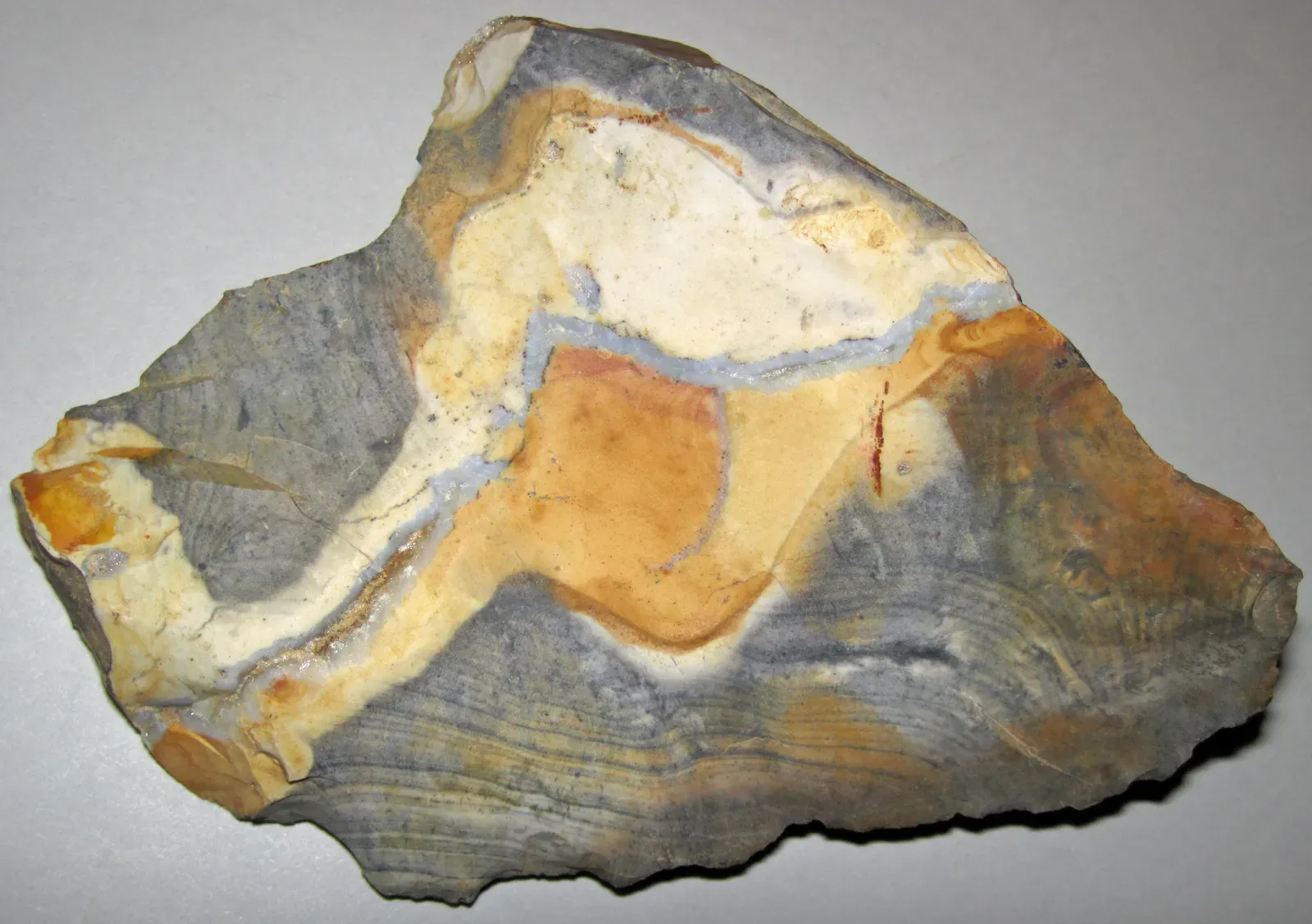 Reading The Rocks: How Scientists Can Tell What Came First (Flint (Vanport Flint, Middle Pennsylvanian; Nethers Flint Quarries, Flint Ridge, Ohio, USA) 100, CC BY 2.0)
