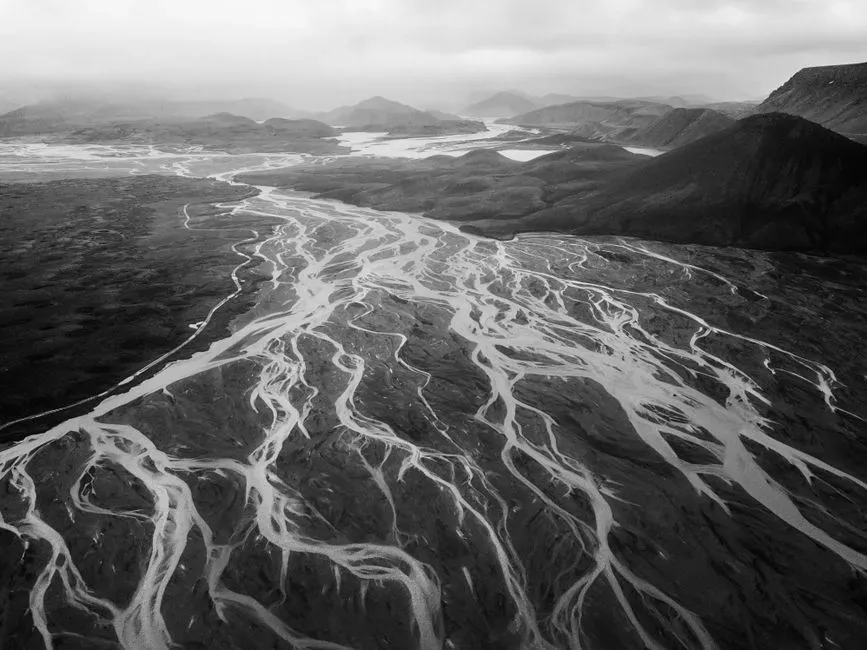 #5 - Human Evolution Became a "Braided Stream," Not a Ladder (Image Credits: Pexels)