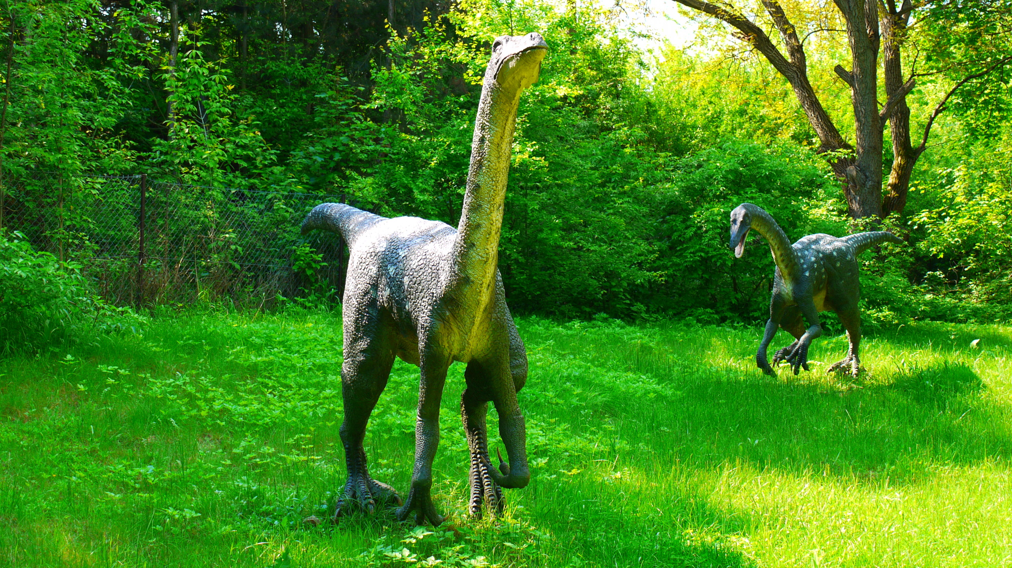 Sagittarius: The Swift Ornithomimus (Image Credits: Wikimedia)