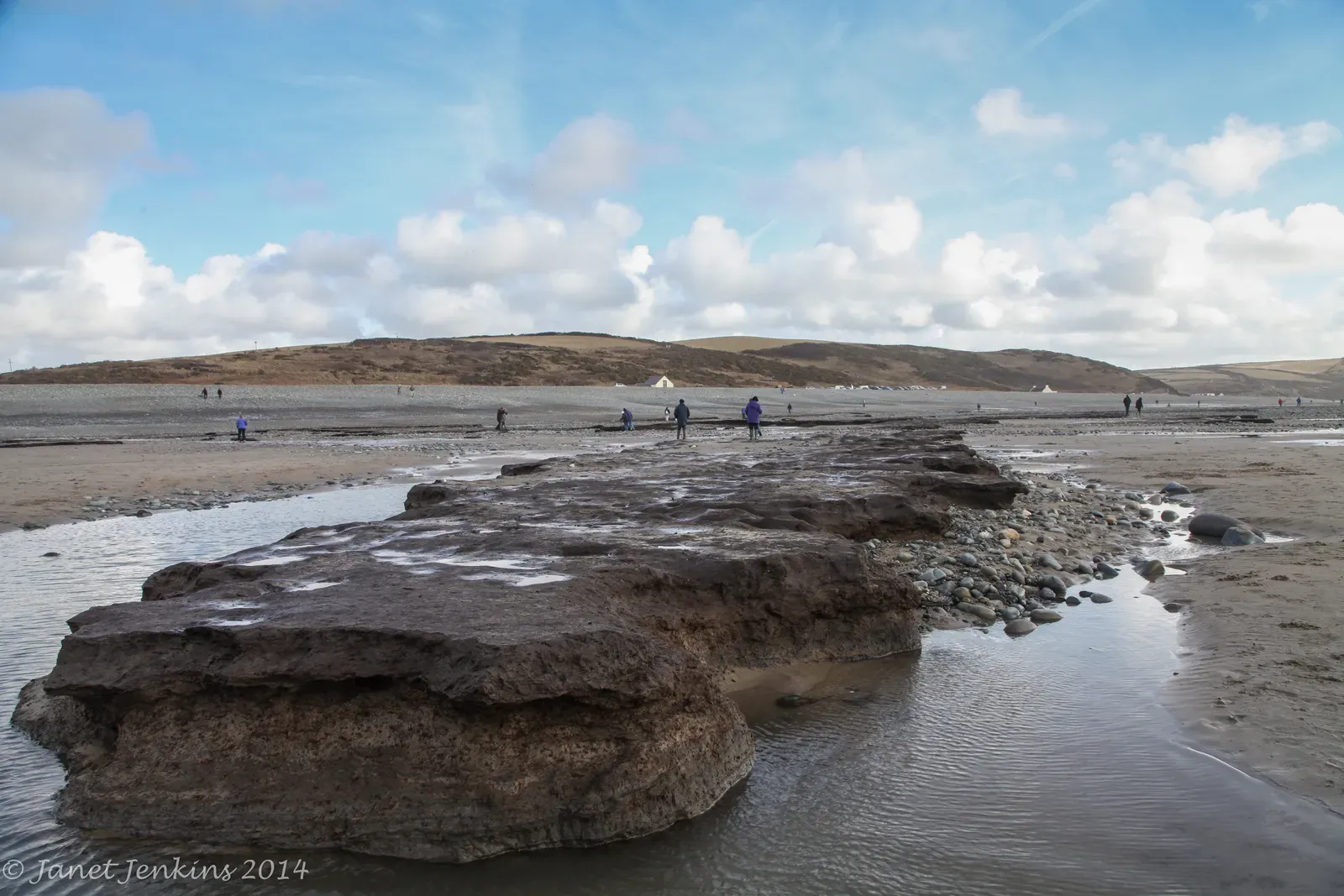 #5 - Doggerland: The Ice Age Forest Buried Under the North Sea (By Janevans35, CC BY-SA 3.0)