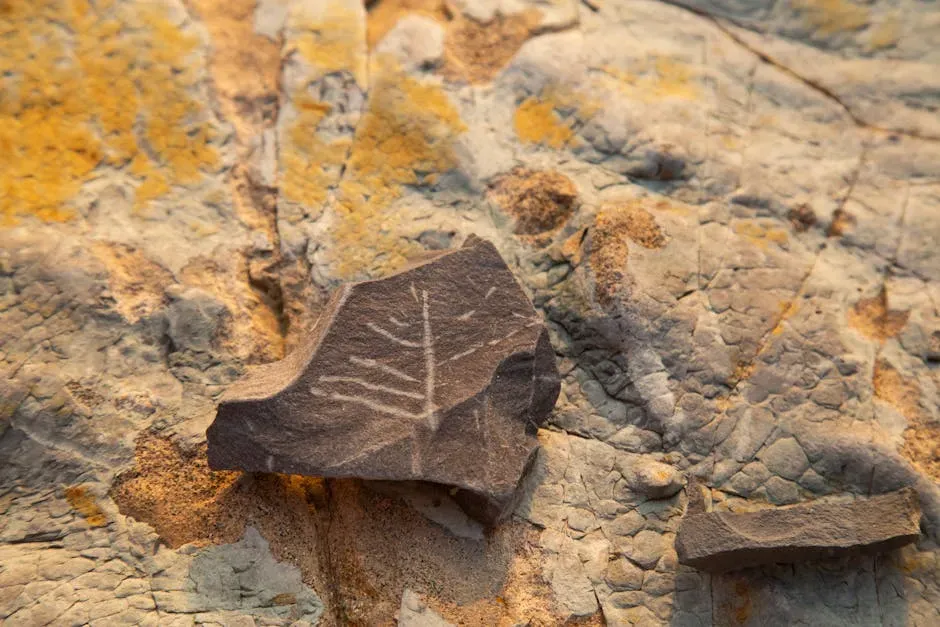 The Rise of Flowering Plants and the Secrets Still Being Unearthed (Image Credits: Pexels)