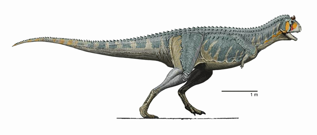 Aries: The Charging Carnotaurus (Image Credits: Wikimedia)