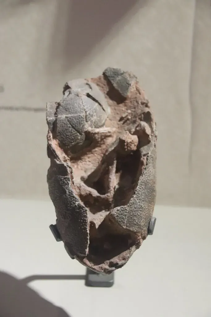 Could There Be an Embryo Inside? (Image Credits: Flickr)