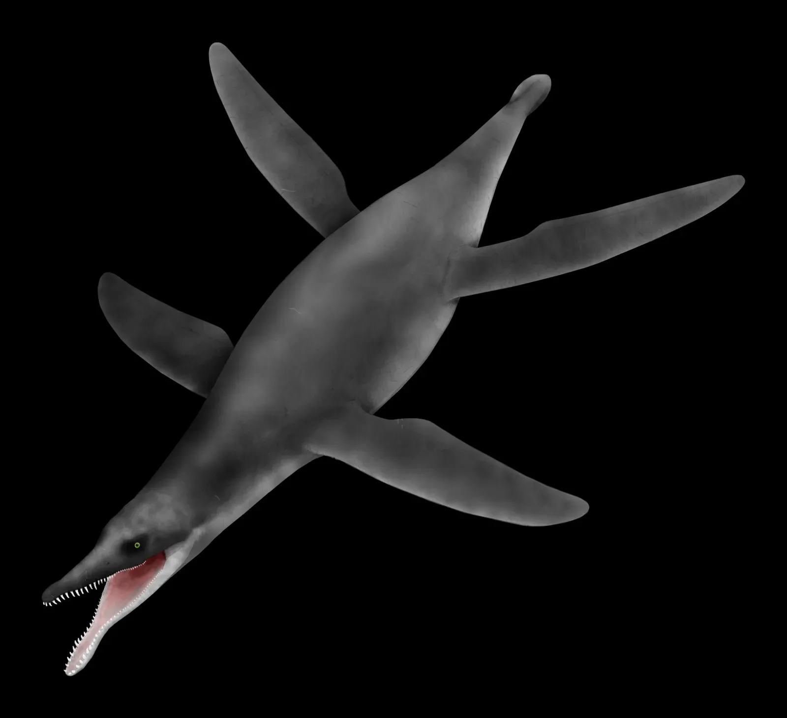 Liopleurodon – The Short-Lived Giant With a Seriously Overhyped Reputation (By Slate Weasel, CC BY 4.0)