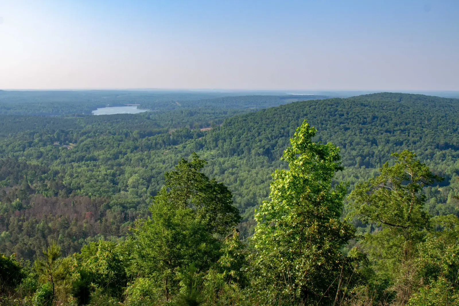 Birkhead Mountains Wilderness, North Carolina: Among Some of North America’s Oldest Hills (NC from Morrow Mountain, CC BY 2.0)