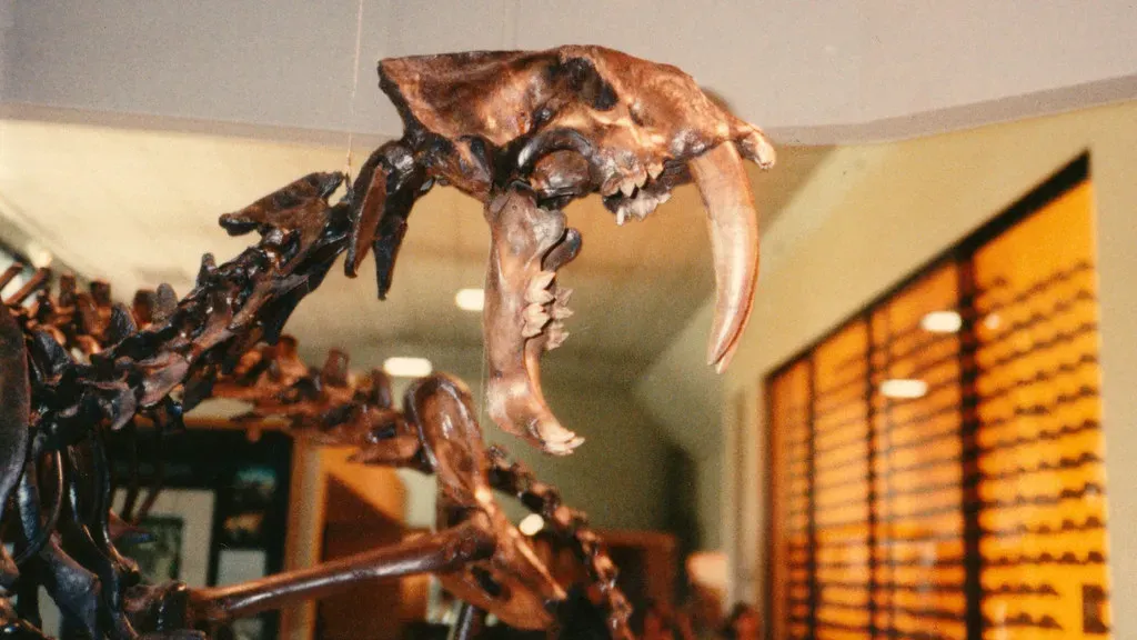 6. They lived brutal lives full of injuries, infections, and violent encounters (edenpictures, Flickr, CC BY 2.0)