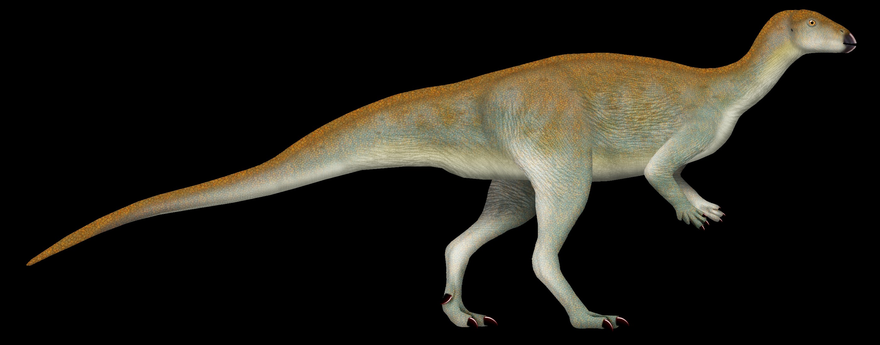 Chakisaurus nekul: The Swift Runner from Patagonia (Image Credits: Wikimedia)