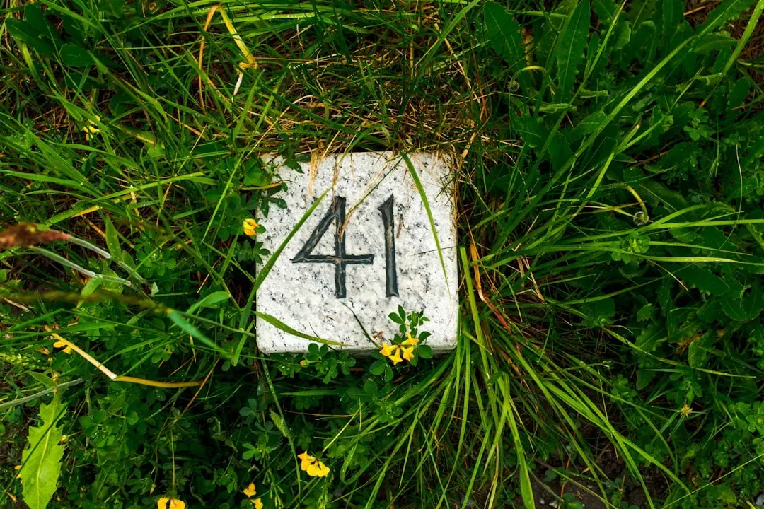 Life Path Numbers: Your Soul's GPS System (Image Credits: Unsplash)