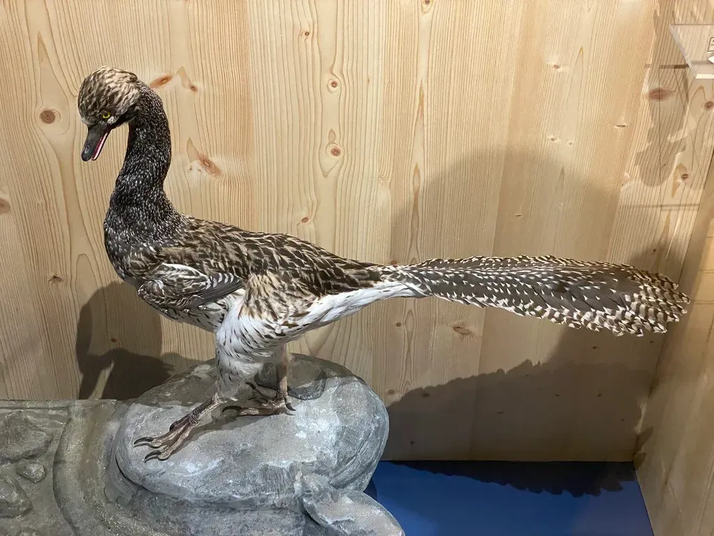 Halszkaraptor: The Swan Dinosaur (Image Credits: Flickr)