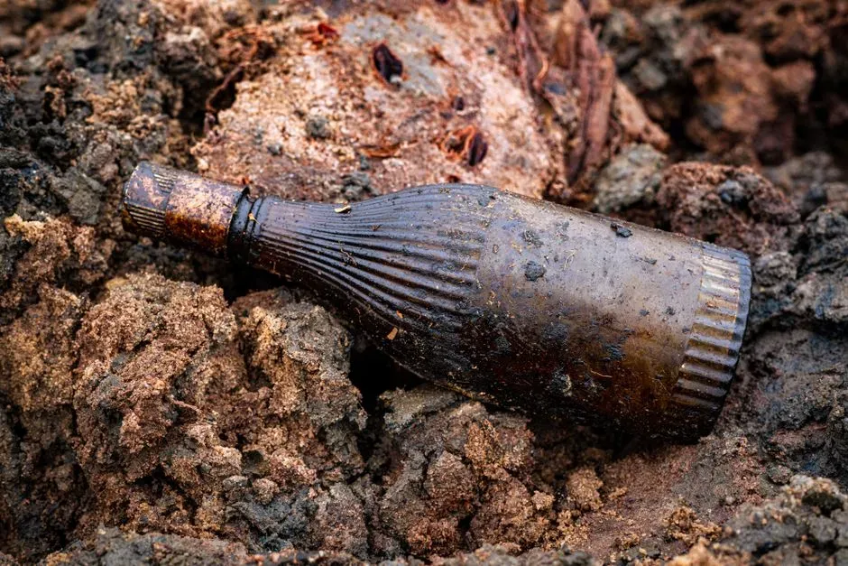 #1 Old Glass Bottles and Everyday Household Trash (Image Credits: Pexels)