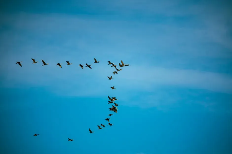 The Bottom Line (Image Credits: Pexels)