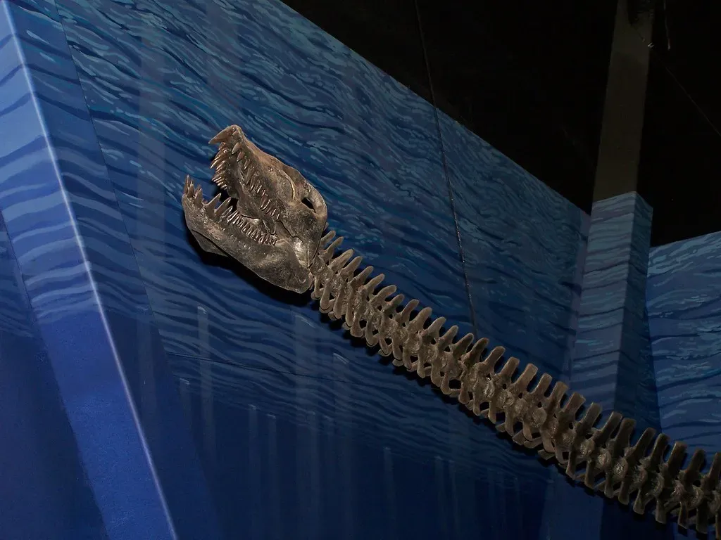 From Misplaced Skull to Cultural Sea Monster (ZacharyTirrell, Flickr, CC BY-SA 2.0)