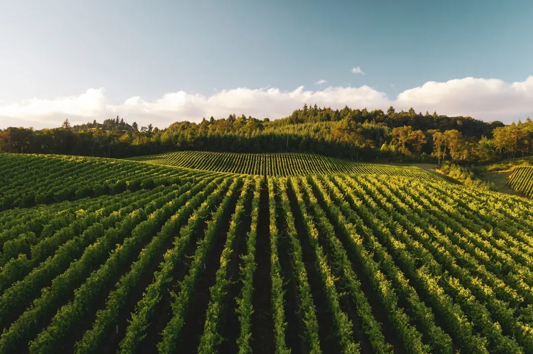 Agriculture: The Moment We Started Rewriting the Planet (Image Credits: Unsplash)