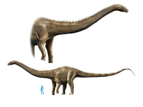 #10 - Ultrasauros: The "Tallest Dinosaur Ever" That Turned Out to Be Two Different Animals (By Nobu Tamura email:nobu.tamura@yahoo.com  http://spinops.blogspot.com/, CC BY-SA 4.0)