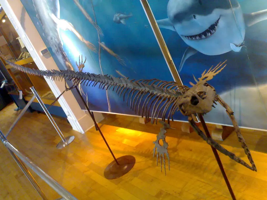 From Limestone Quarry to Scientific Sensation: The Discovery That Changed Everything (sillygwailo, Flickr, CC BY 2.0)