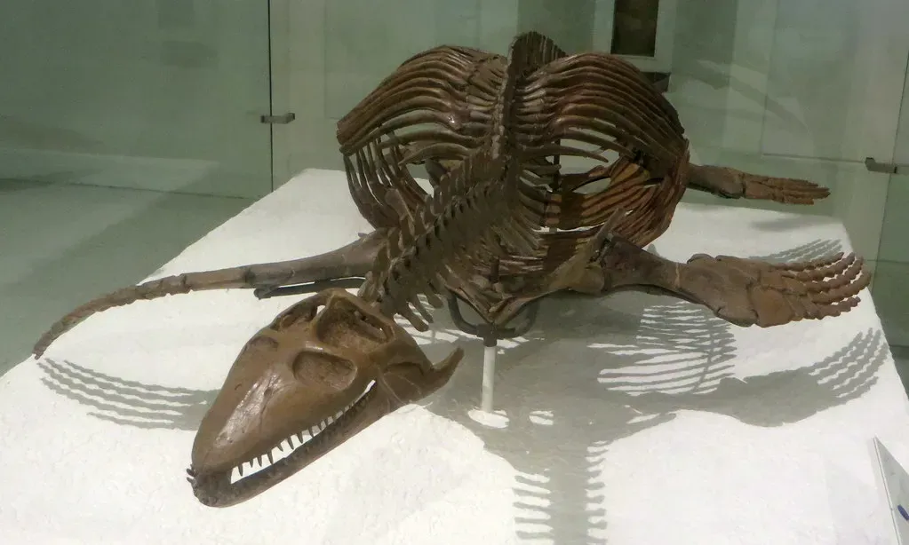 Conclusion: The Ocean's Most Terrifying Chapter (Image Credits: Flickr)