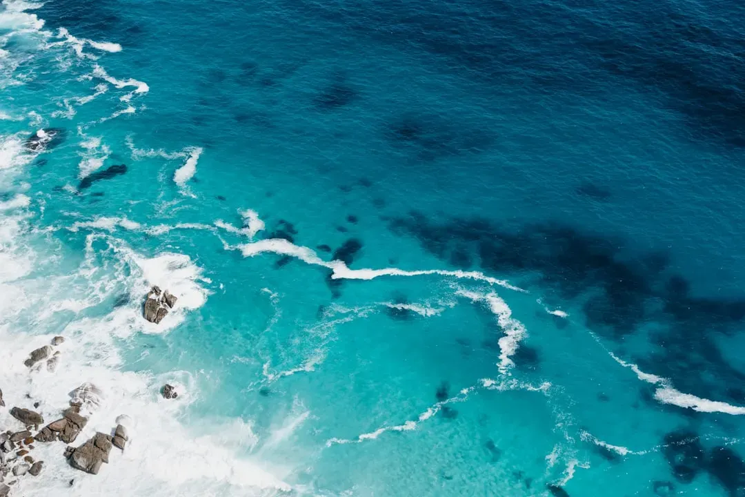 1. The Oceans Were Often Low-Oxygen Death Traps, Not Just Blue Playgrounds (Image Credits: Unsplash)