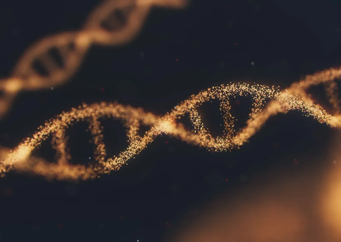 #8 - Humans Have a "Natural" Lifespan of Just 38 Years, According to Our Own DNA (Image Credits: Unsplash)