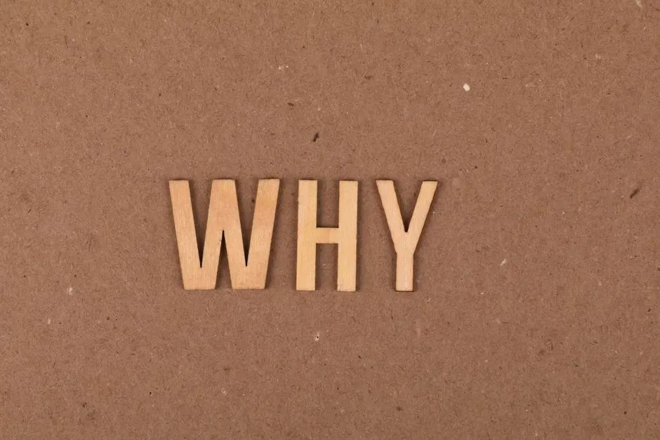 The First “Why?” and What It Means for Us Now (Image Credits: Pexels)