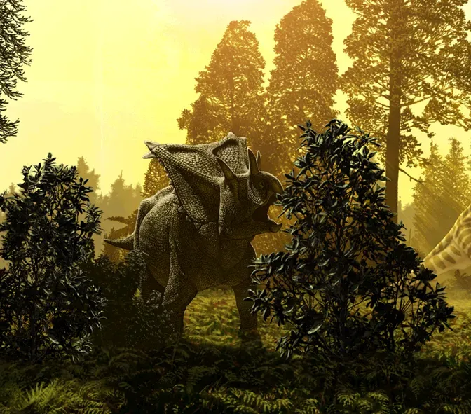 Conclusion (Image Credits: Wikimedia)