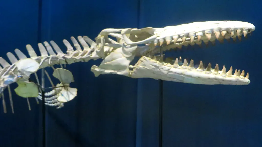 When Oceans Had Superpredators No Longer Found on Earth (edenpictures, Flickr, CC BY 2.0)