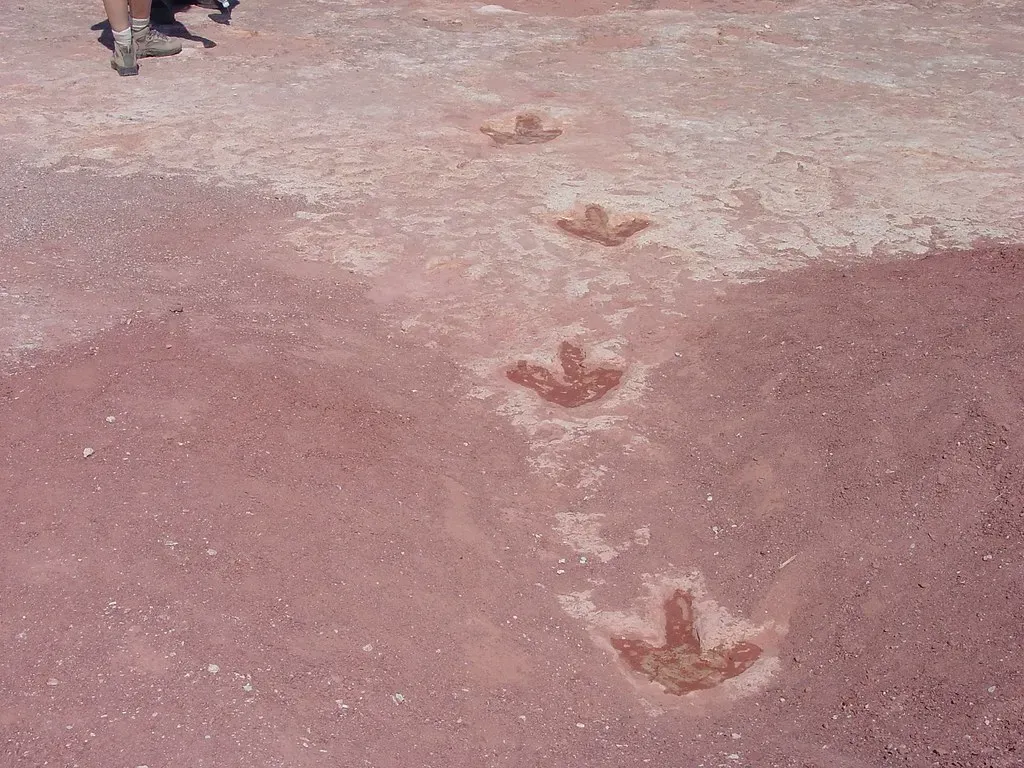 The Historical Significance Goes Beyond the Footprints Themselves (Image Credits: Flickr)