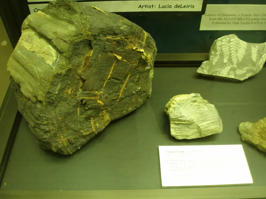 The forests under the ice: what the fossils actually show (Alan R. Light, Flickr, CC BY 2.0)