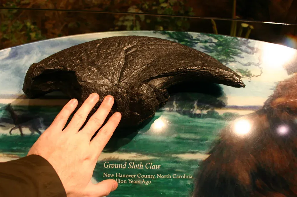 2. They had massive, dangerous claws that were more like tools than comic props (Ryan Somma, Flickr, CC BY-SA 2.0)