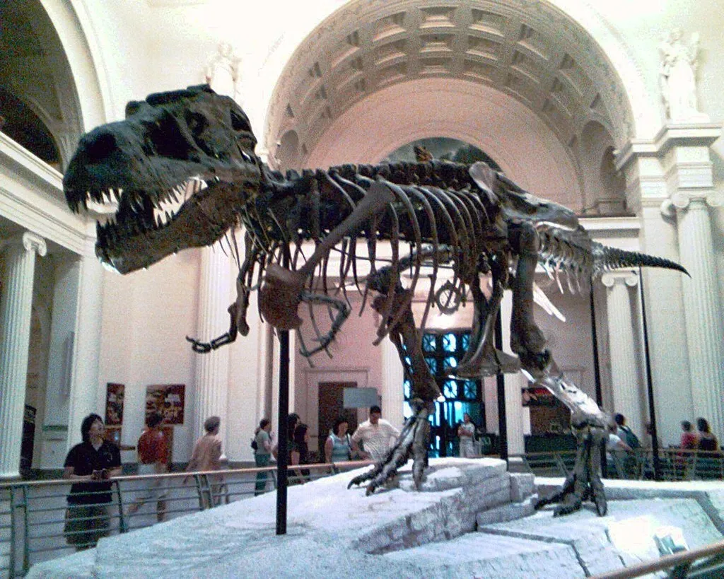 Evidence From Behavior and Fossils (Image Credits: Flickr)