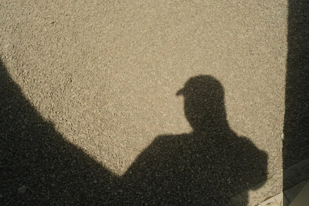Conclusion: Embracing Your Shadow (Image Credits: Unsplash)