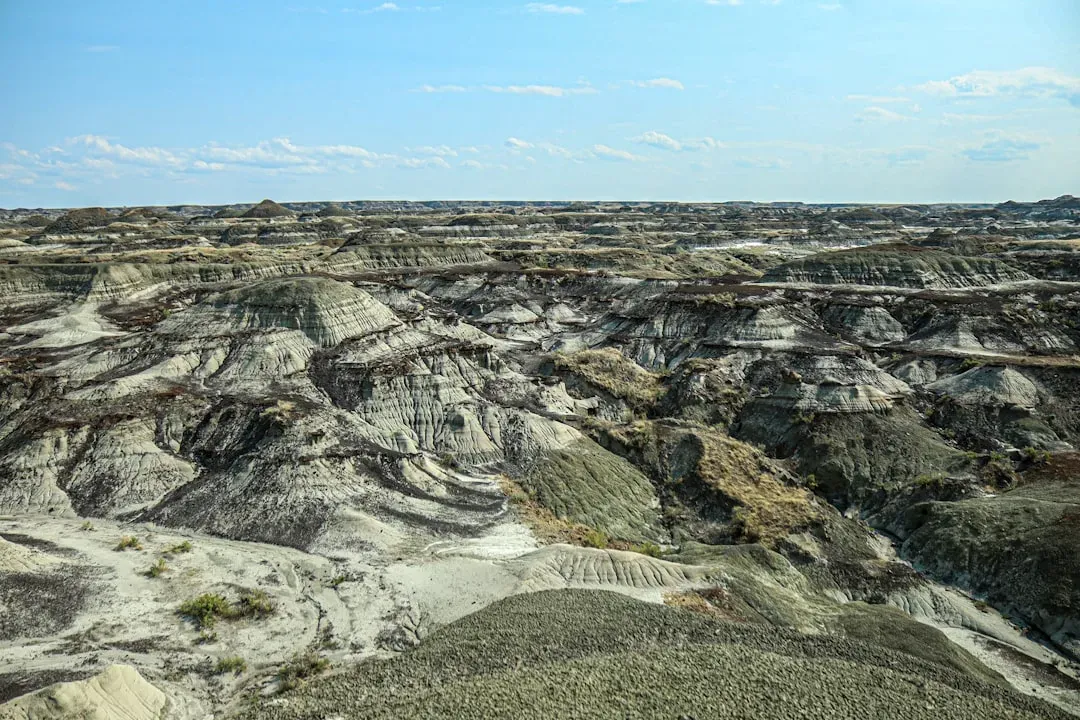 Why Dinosaur Provincial Park Matters More Than Ever (Image Credits: Unsplash)