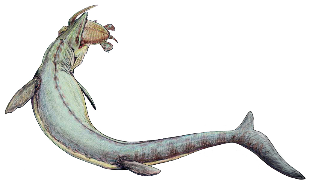 Scorpio (October 23 - November 21): Mosasaurus (Image Credits: Wikimedia)