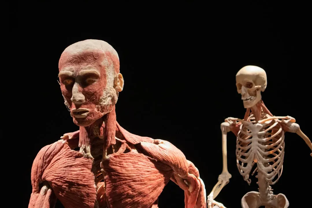 5. Our Bodies Still Carry “Stone Age” Features That Do Not Quite Fit Modern Life (Image Credits: Unsplash)