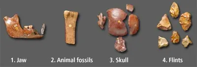#3 - That Britain Was a Cradle of Early Human Evolution (By Judy Breck, CC BY-SA 2.0)