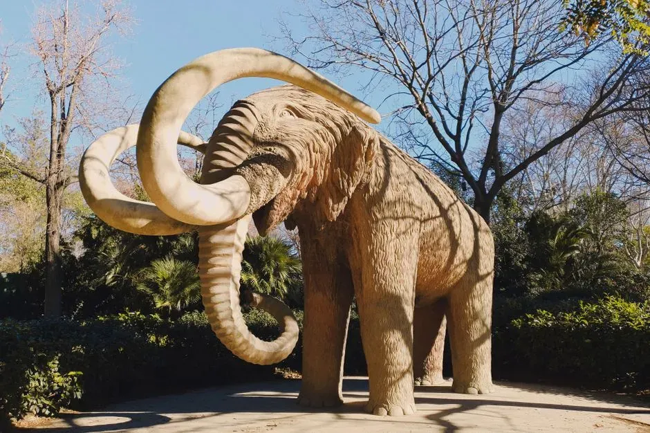 #4 - The Sheer Size Would Make Elephants Look Small (Image Credits: Pexels)