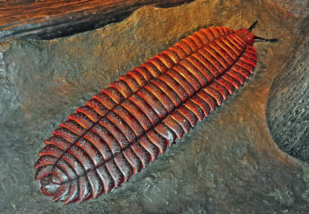 What This Tells You About Evolution and Survival (Image Credits: Flickr)