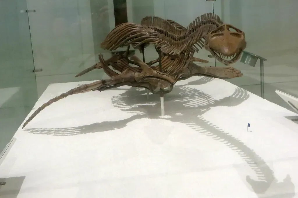 Conclusion (Image Credits: Flickr)