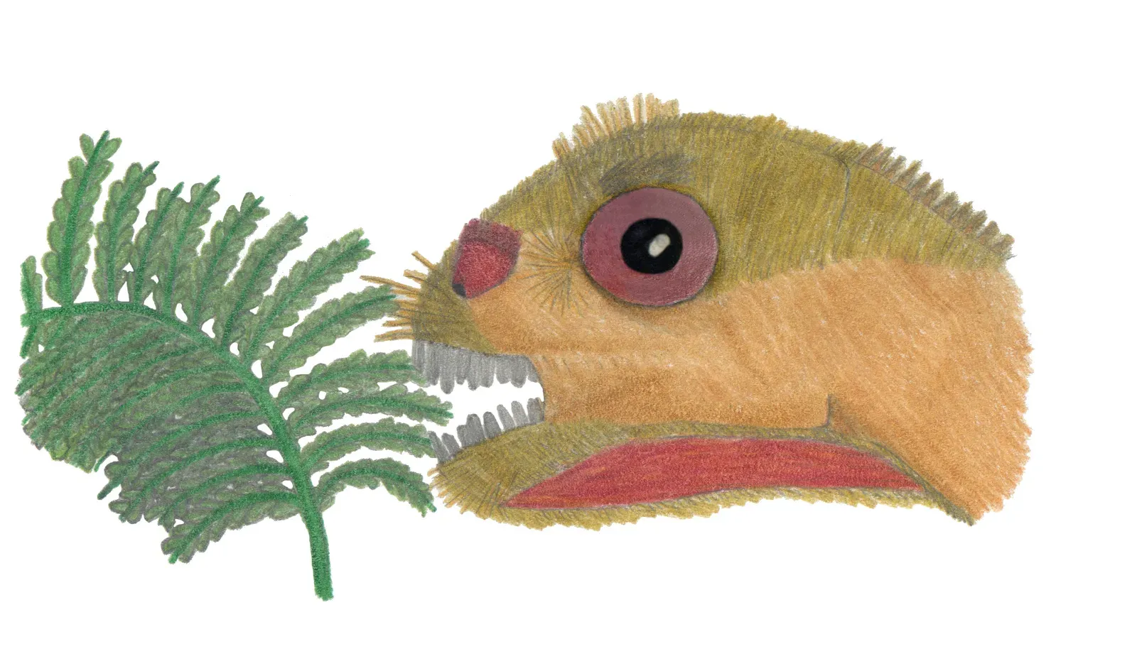 The Patagonian Treasure Trove That Changed Everything (Image Credits: Wikimedia)