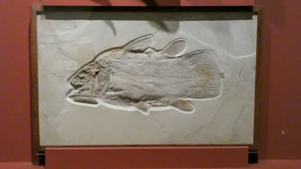 Ancient Lineage: Swimming Through 400 Million Years (Image Credits: Flickr)