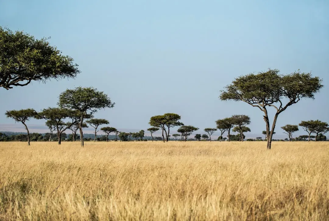 Leo – Sun-Soaked Savannah Woodland with Dominant Trees (Image Credits: Unsplash)