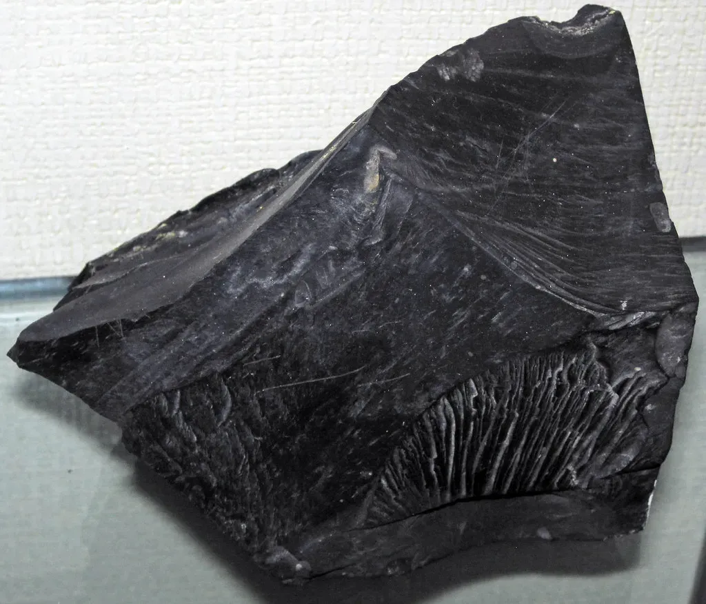 They Created the Coal That Powered a Nation (Image Credits: Flickr)