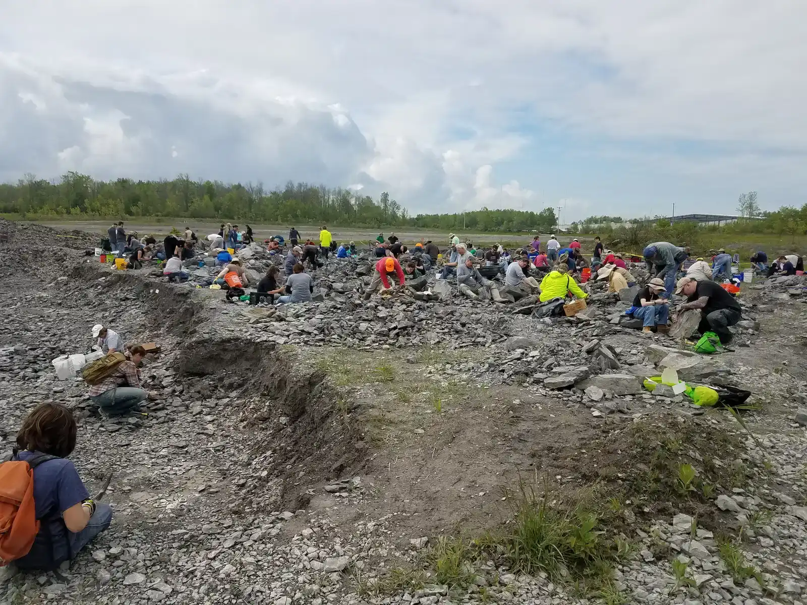 Penn Dixie Fossil Park, New York: The Hands-On Devonian Sea Experience (By PennDixieFossils, CC BY-SA 4.0)