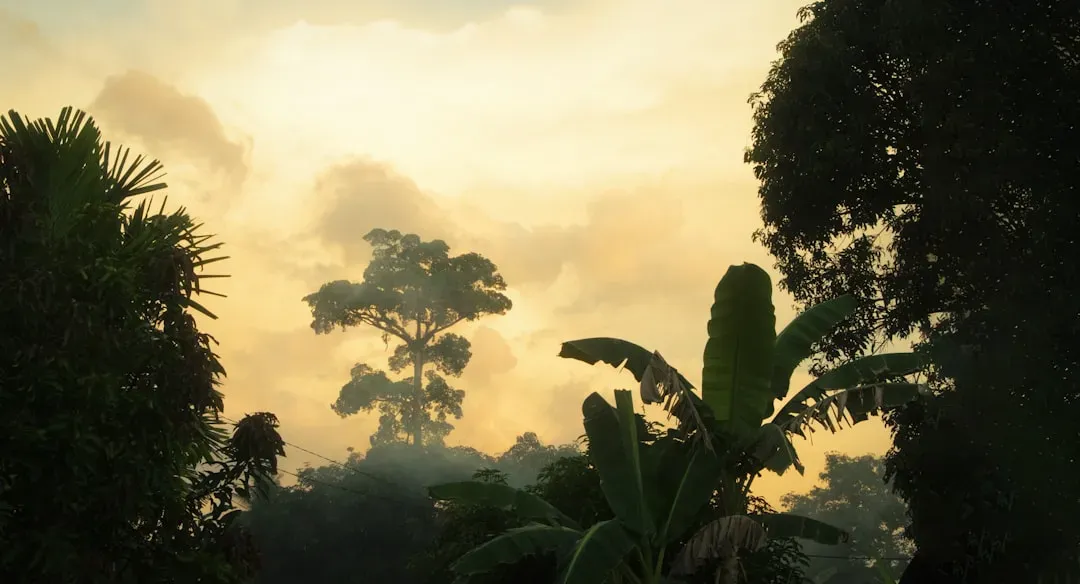 Pisces – Dreamy Tropical Rainforest with Layered Life (Image Credits: Unsplash)