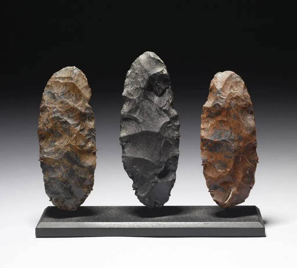 Why Early Toolmaking Was a Game-Changer for Human Evolution (Image Credits: Rawpixel)