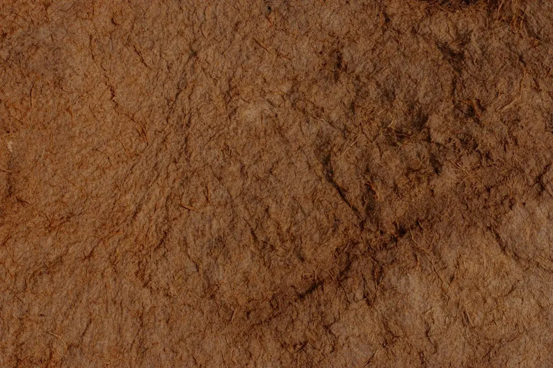 #8 – Soil Structure and Texture: Sand, Silt, Clay, and Everything in Between (Image Credits: Unsplash)