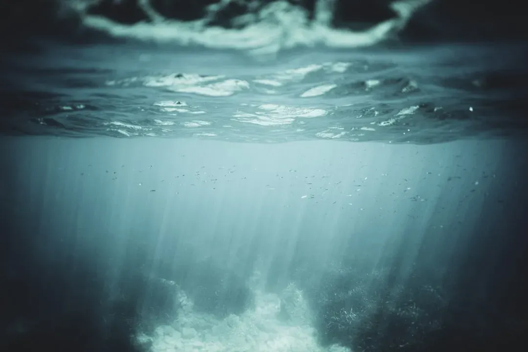 Psychology, Phobias, and Why Deep Water Feels Personal (Image Credits: Unsplash)
